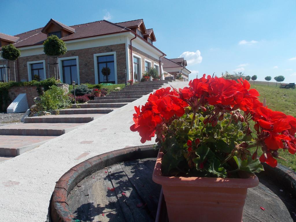 St Peter Vini Hotel Svaty Peter Buitenkant foto